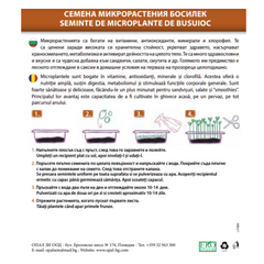 Seminte de Microplante de Busuioc- 3 g