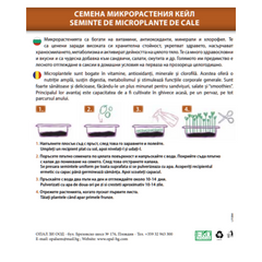 Seminte de Microplante de Cale- 3 g