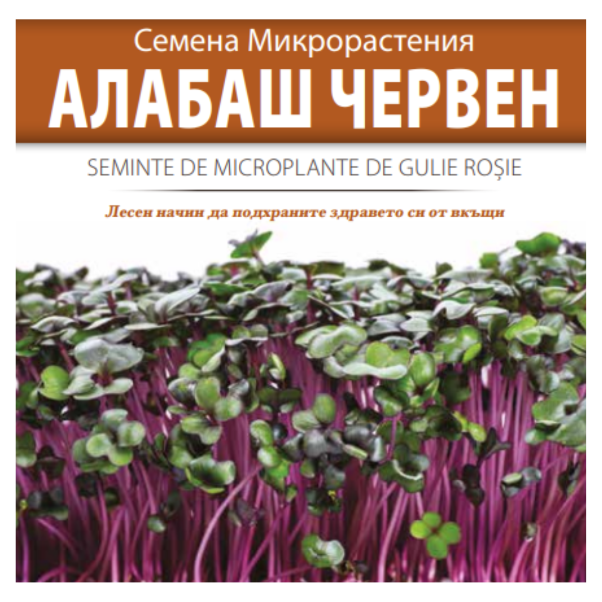 Seminte de Microplante de Gulie rosie- 3 g, 1, hectarul.ro