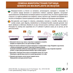 Seminte de Microplante de Mustar- 3 g