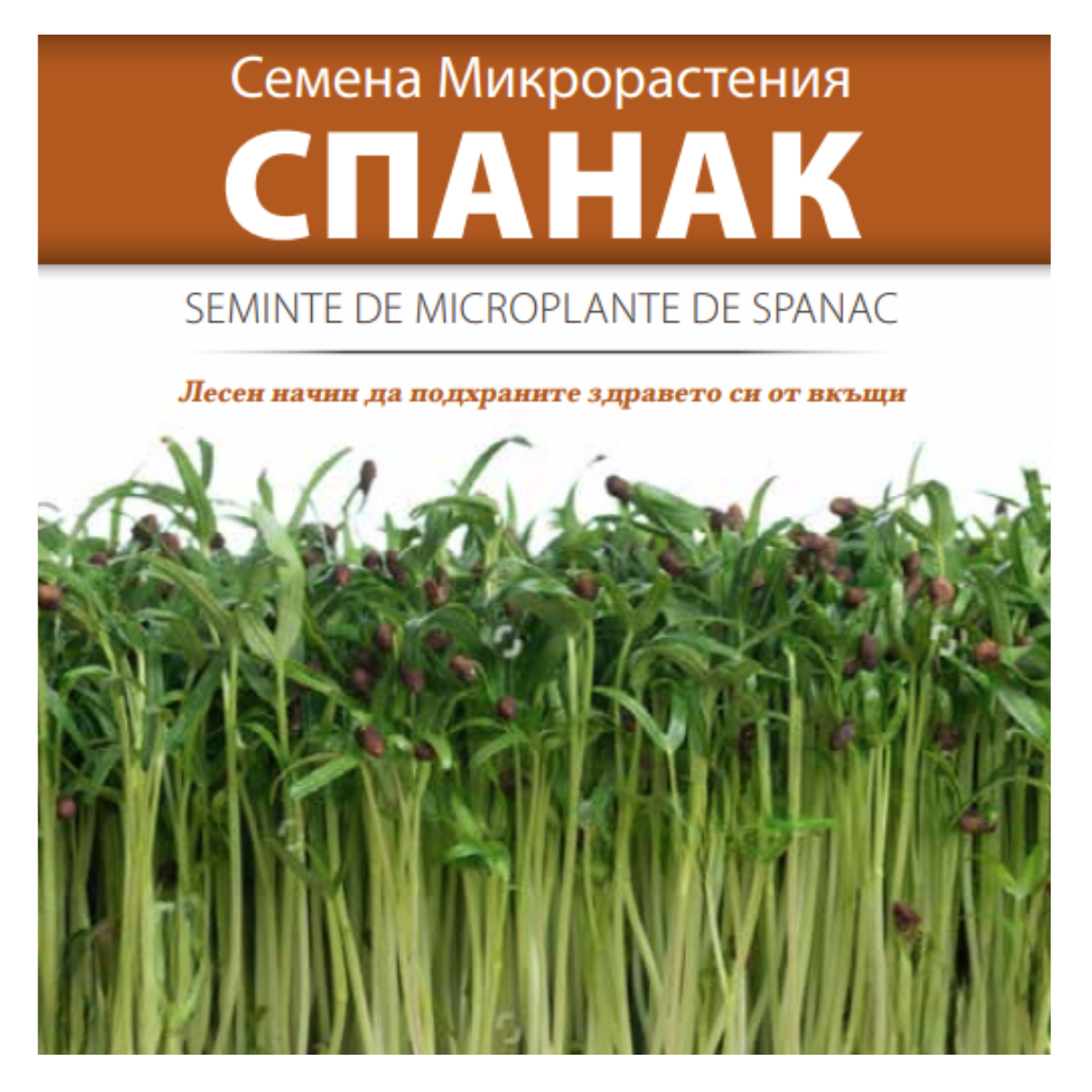 Seminte de Microplante de Spanac- 10 g, 1, hectarul.ro