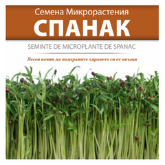 Seminte de Microplante de Spanac- 10 g