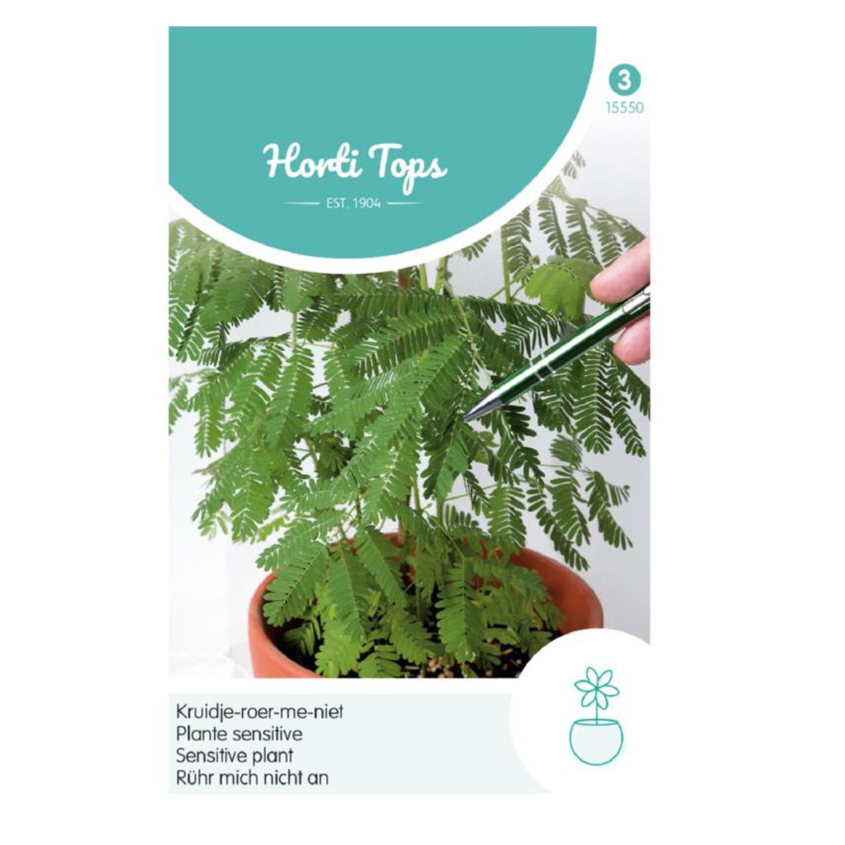 Seminte de Mimosa Pudica, 0,75 grame, Hortitops, 1, hectarul.ro