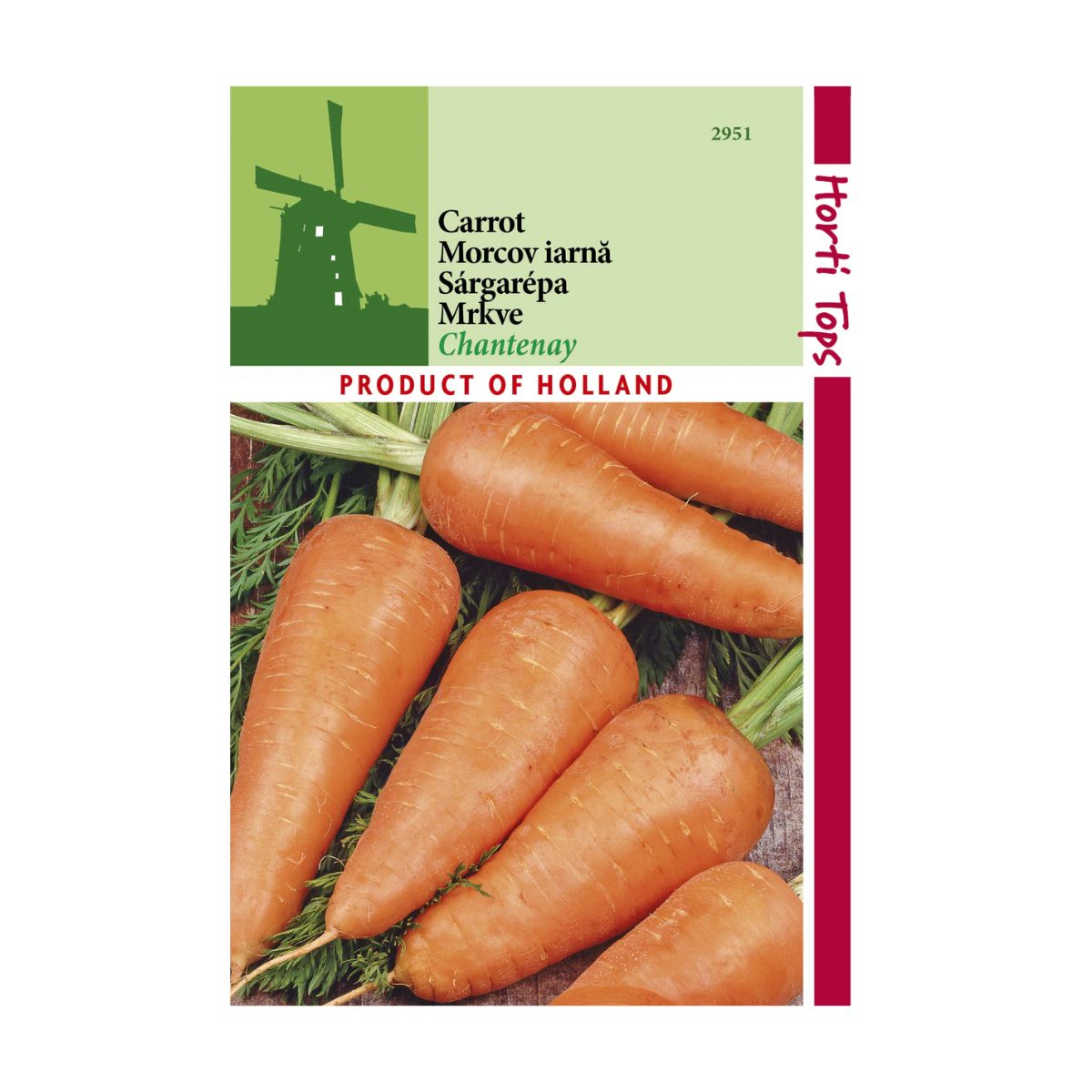 Seminte de morcov Chantenay Red Cored, 5 grame, 1, hectarul.ro