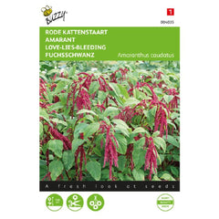 Seminte de Motul Curcanului (Amaranthus),1 gram, BUZZY