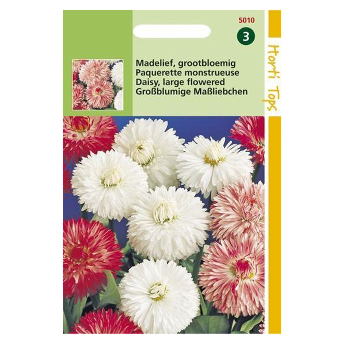 Seminte de paralute Bellis Perenis 1gr, 1, hectarul.ro