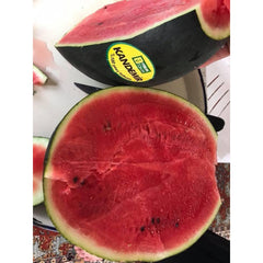 Seminte de pepene verde KANDEMIR F1, 500 seminte, YUKSEL