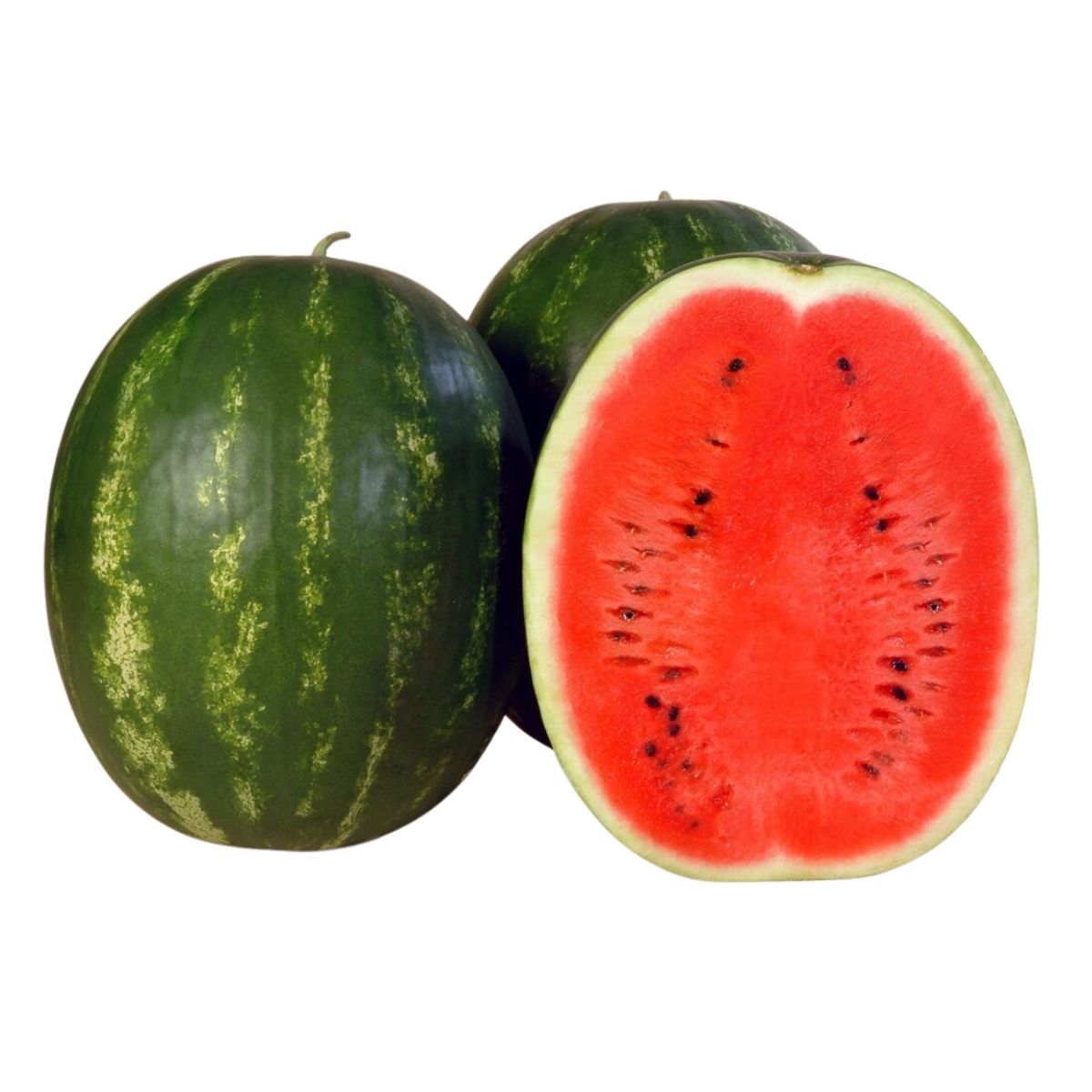 Seminte de pepene verde Karistan F1, 1000 seminte SYNGENTA, 1, hectarul.ro