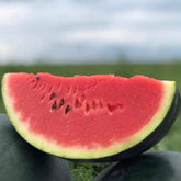 Hectarul - Seminte de pepene verde Pata Negra F1 250 seminte