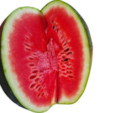 Hectarul - Seminte de pepene verde Red Star F1, 500 seminte NUNHEMS