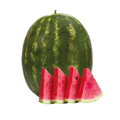 Seminte de pepene verde USTA F1, 500 seminte, YUKSEL