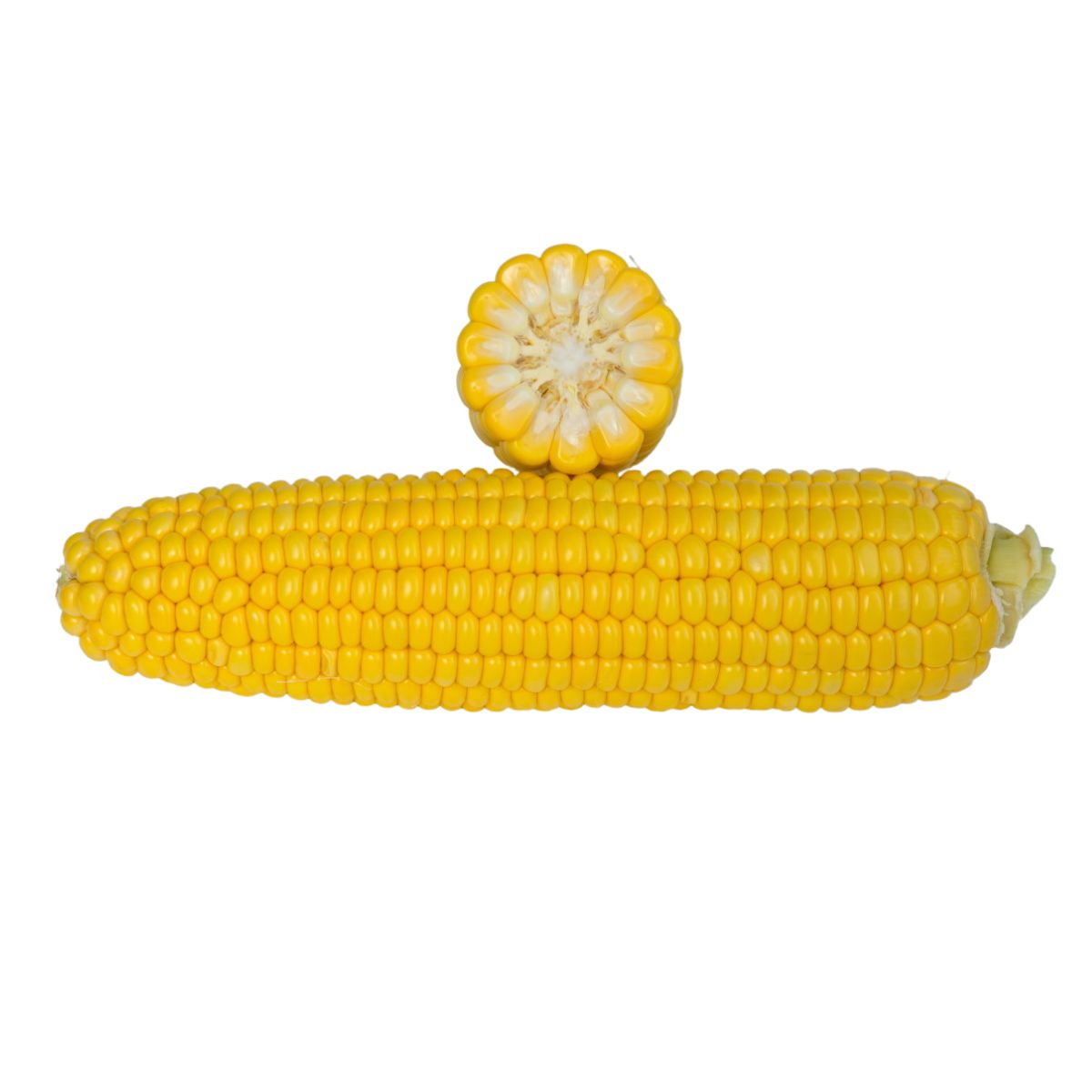 Seminte de porumb zaharat STRONGSTAR, 2500 seminte SYNGENTA, 1, hectarul.ro