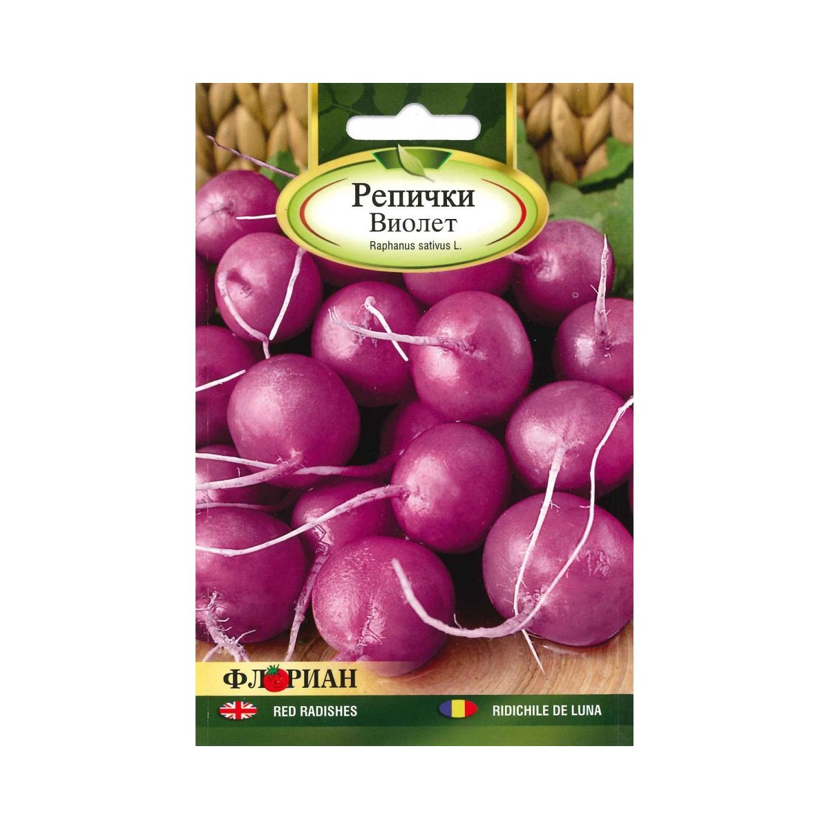 Seminte de ridichi violet Malaga, 5 gr, FLORIAN, 1, hectarul.ro