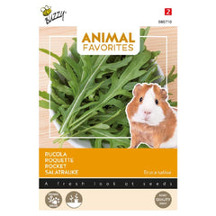 Seminte de rucola pentru animale, 2 grame, BUZZY