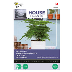 Seminte de sparanghel ornamental, 1 gram, BUZZY