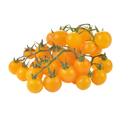 Seminte de tomate Cherry galbene, 0.3 grame FLORIAN
