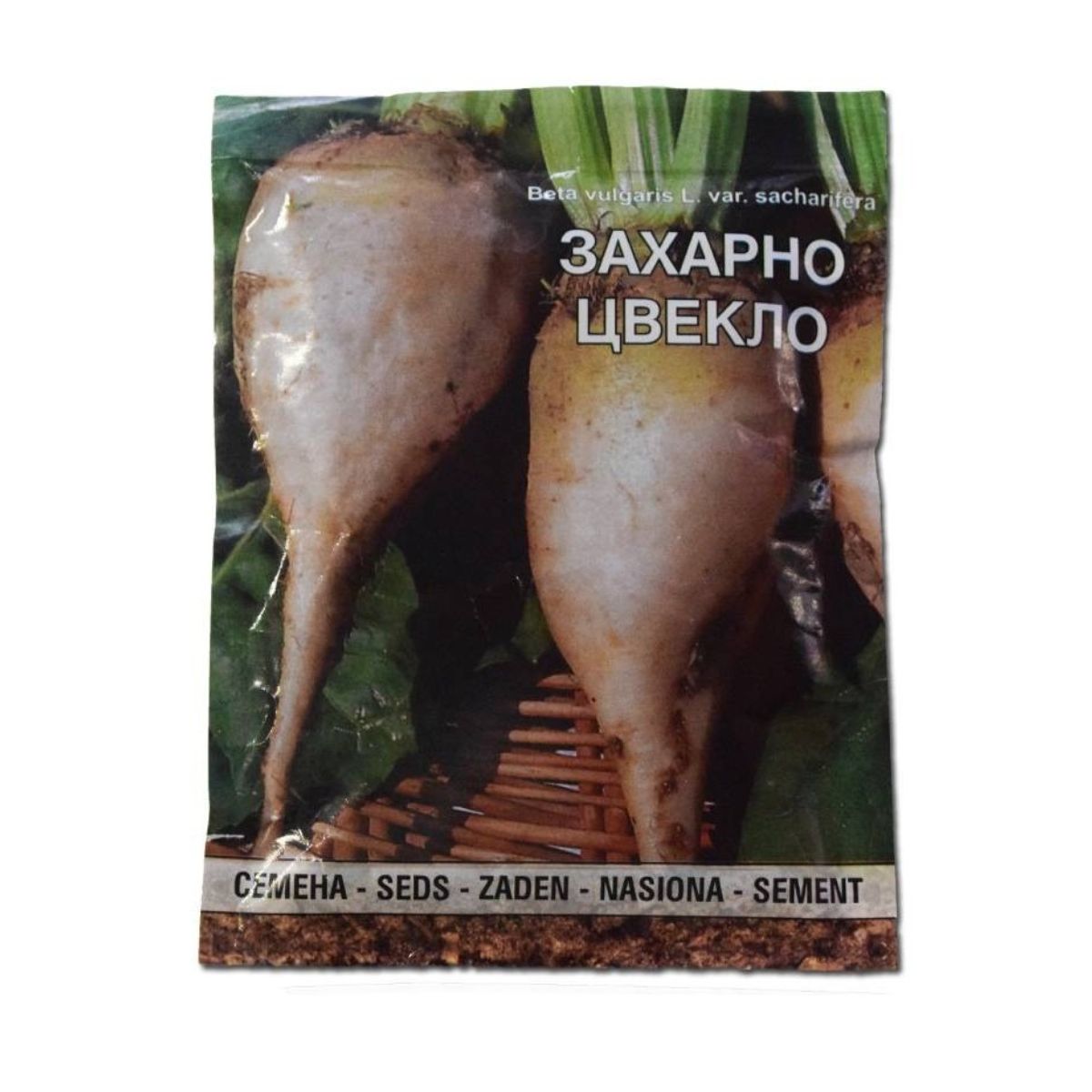 Seminte de sfecla de zahar Peshtera, 25 gr, OPAL, 1, hectarul.ro