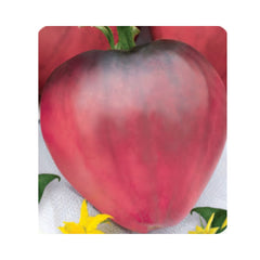 Seminte de tomate Inima de bivol purpurie, 50 seminte FLORIAN
