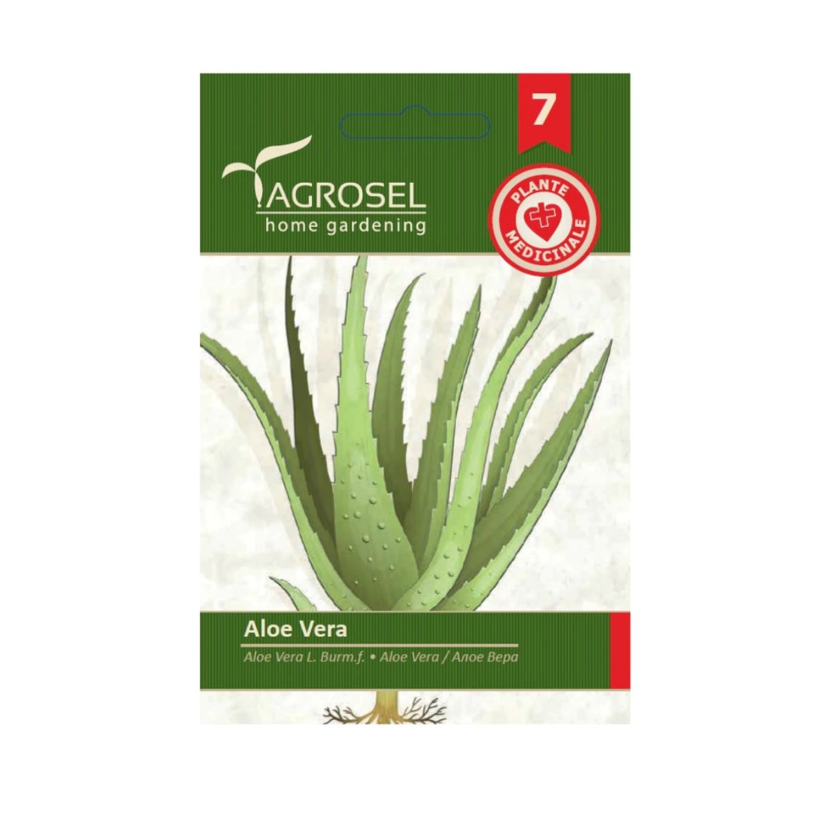 Seminte de Aloe Vera, 8 seminte, Agrosel, 1, hectarul.ro