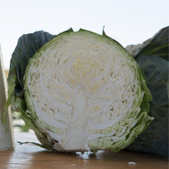 Seminte de varza alba Bucharest F1, 2500 seminte