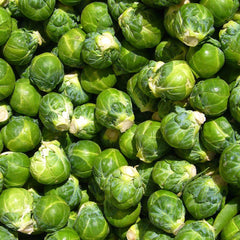 Seminte de varza de bruxelles- 3 grame OPAL