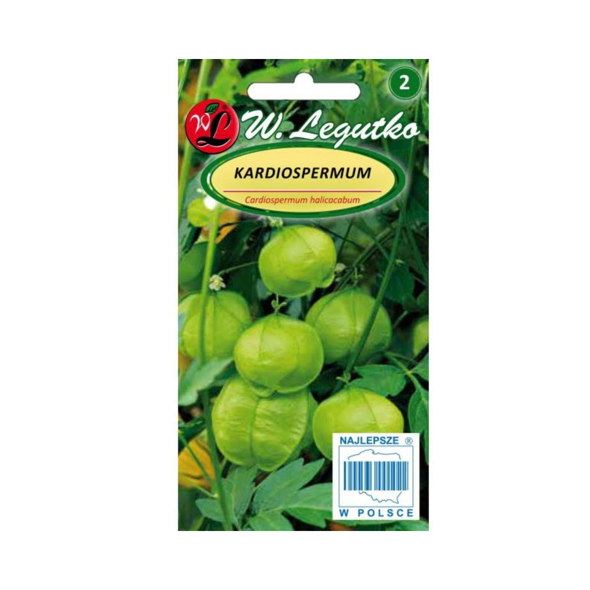 Seminte de vita de vie cu baloane, 1 gr, LEGUTKO, 1, hectarul.ro