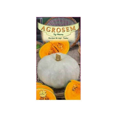 Seminte Dovleac de copt Tudor TRATAT AGROSEM 6 g