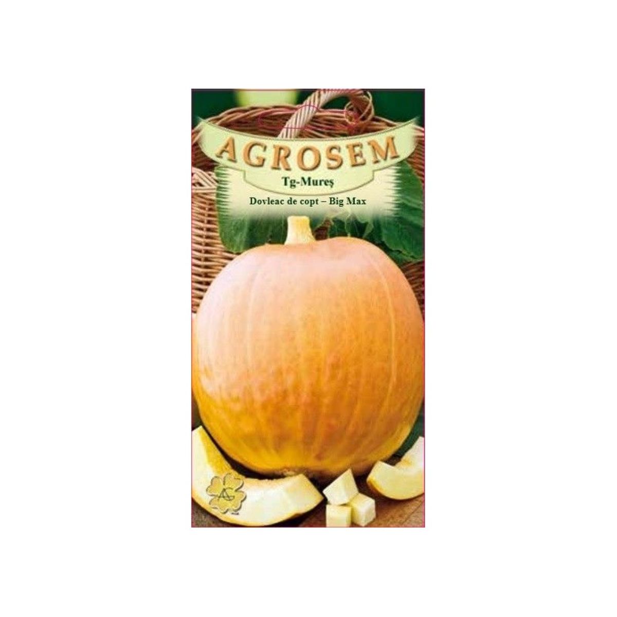 Seminte Dovleac de copt Big Max AGROSEM 8g, 1, hectarul.ro
