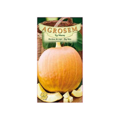 Seminte Dovleac de copt Big Max AGROSEM 8g