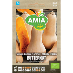 Seminte Dovleac Placintar Butternut BIO AMIA 0.3gr