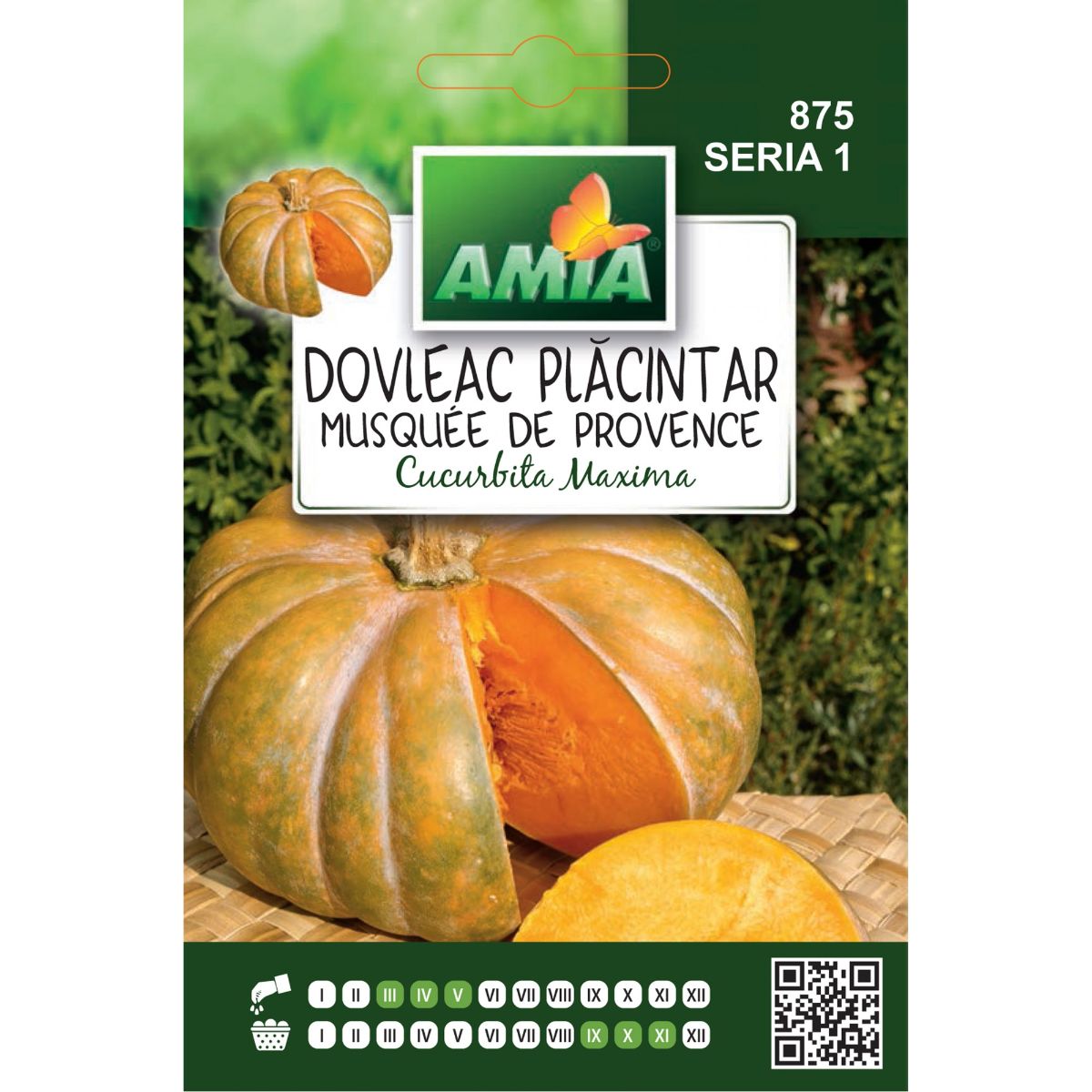 Seminte Dovleac Placintar MUSQUE DE PROVENCE A AMIA 1.5gr, 1, hectarul.ro