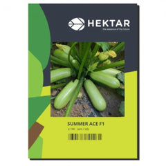 Seminte Dovlecel Summer Ace F1 HEKTAR 100 sem