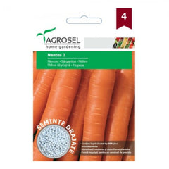 Seminte drajate Morcovi Nantes 2 Agrosel 500 sem