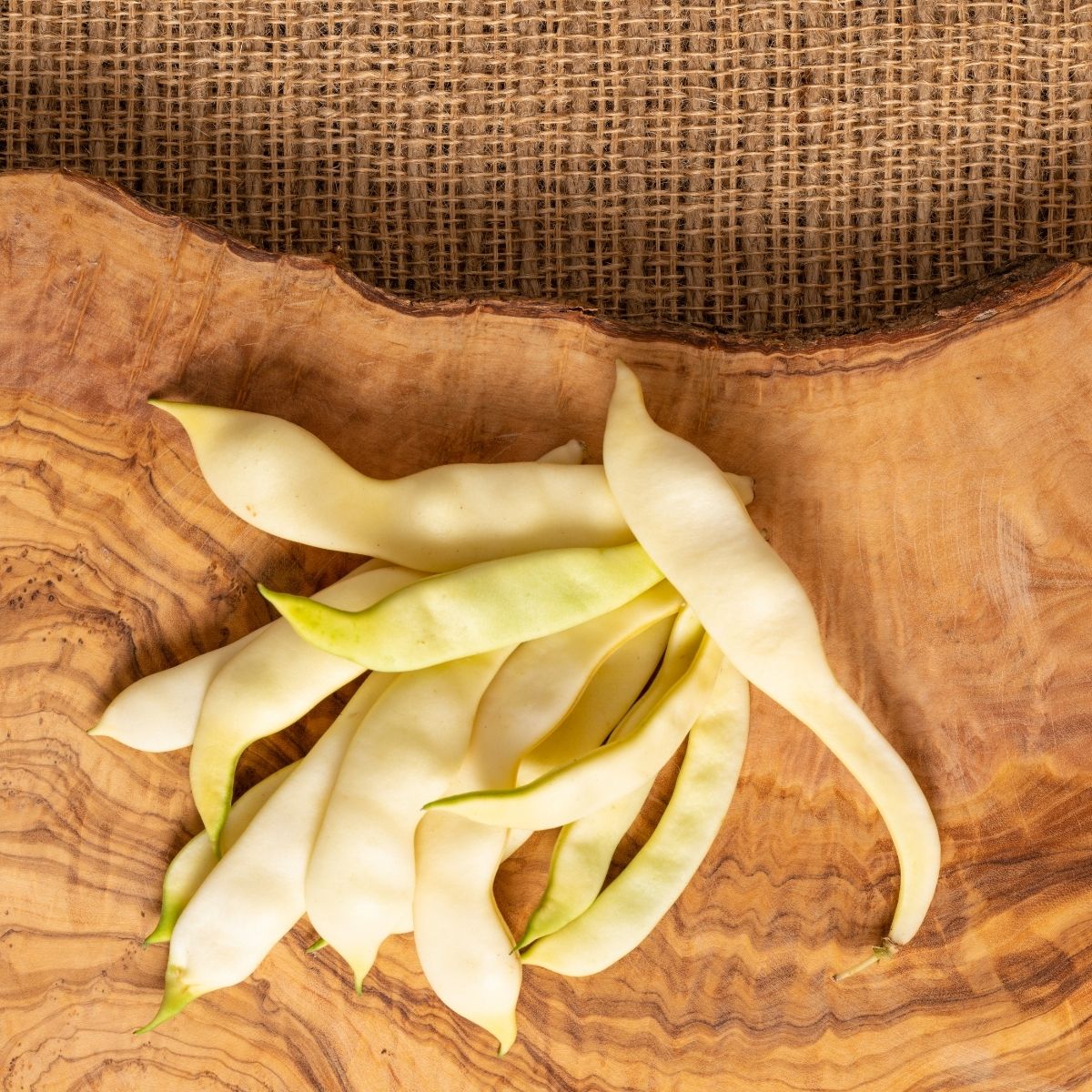 Seminte Fasole piticagalbena�lata Tytania AGROSEM 40 g, 1, hectarul.ro