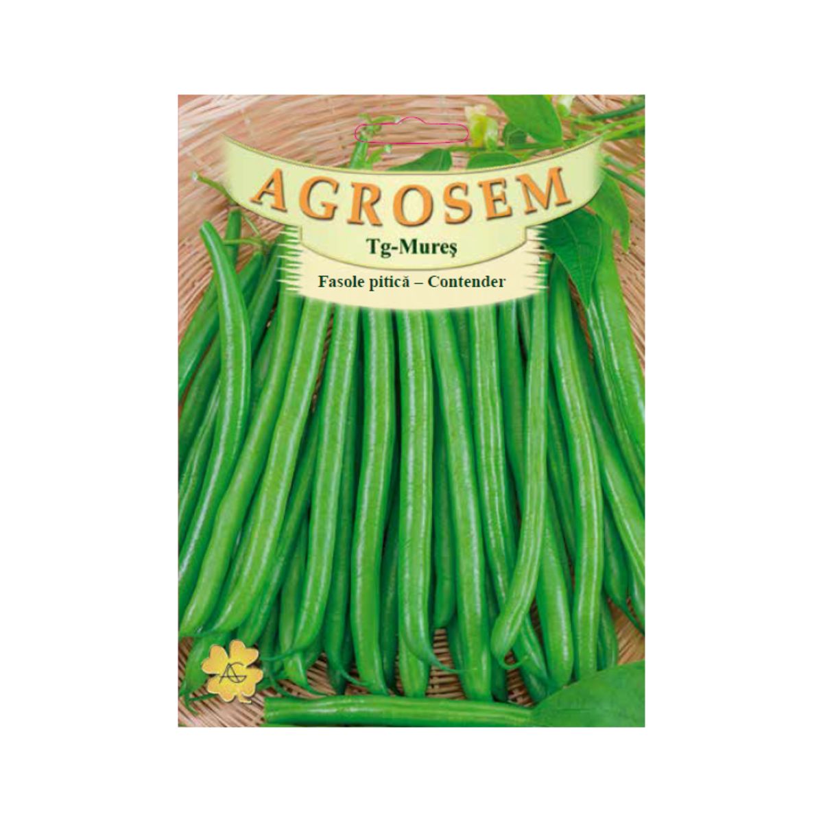 Seminte Fasole pitica verde Rotunda Contender TRATAT AGROSEM 50 g, 1, hectarul.ro