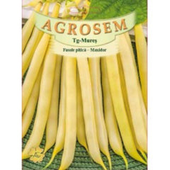 Seminte Fasole pitica galbena rotunda Maxidor TRATAT AGROSEM 100 g