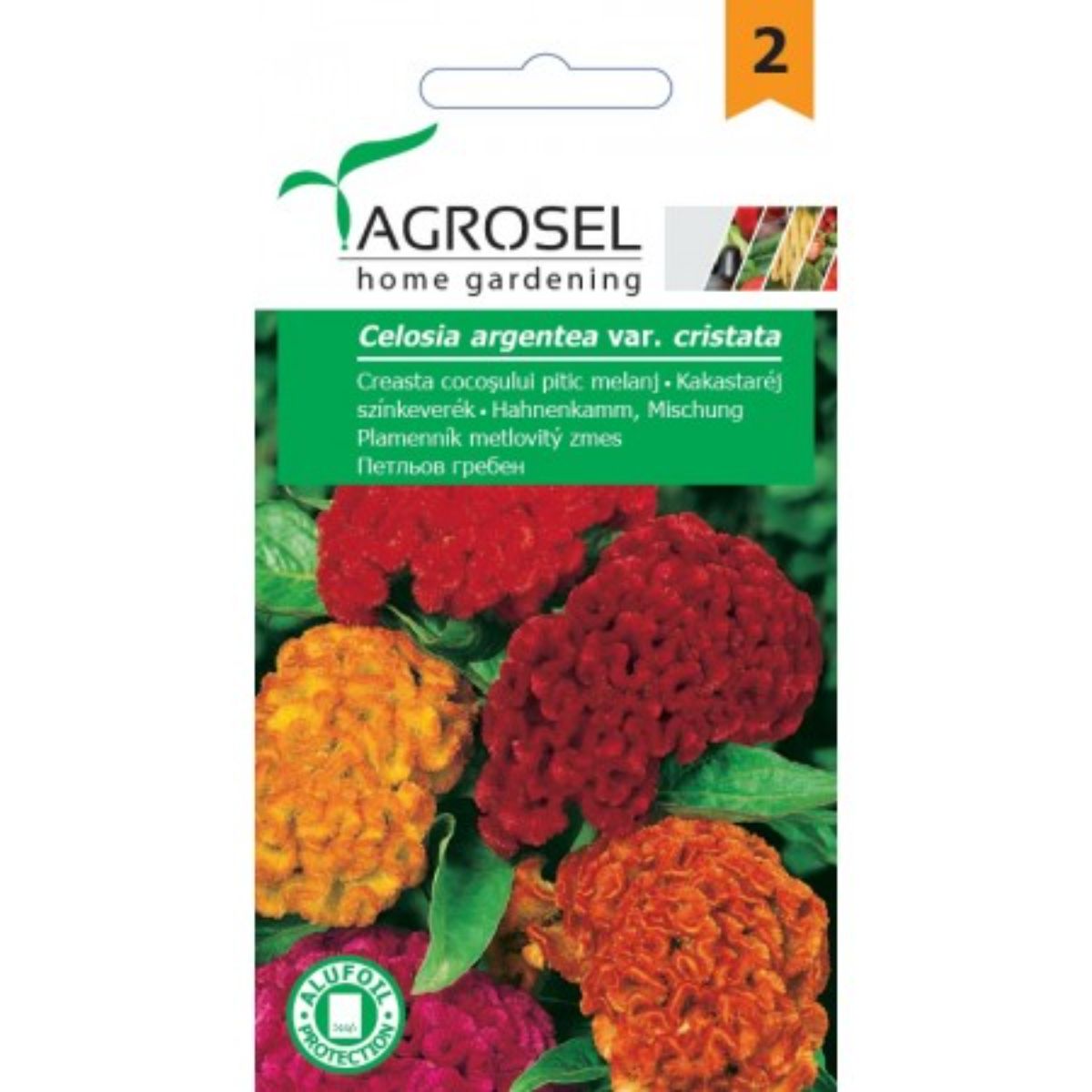 Seminte flori Creasta cocosului pitic melanj Agrosel 1 g, 1, hectarul.ro