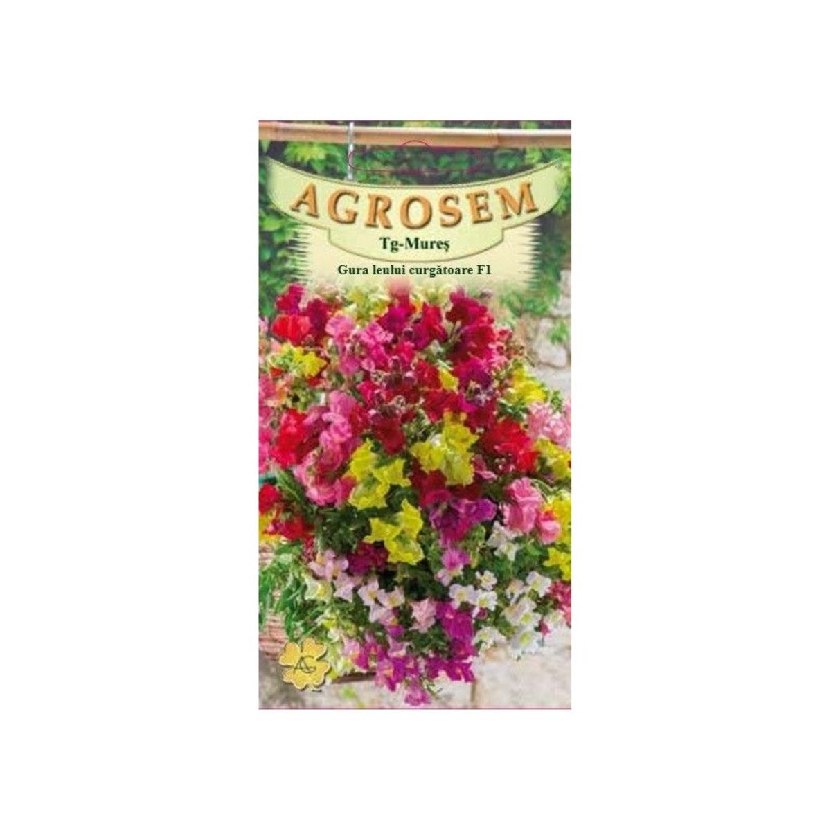 Seminte Flori Gura leului curgatoare F1 AGROSEM 15 sem, 1, hectarul.ro