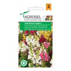 Seminte flori Gura leului pitic melanj Agrosel 1 g