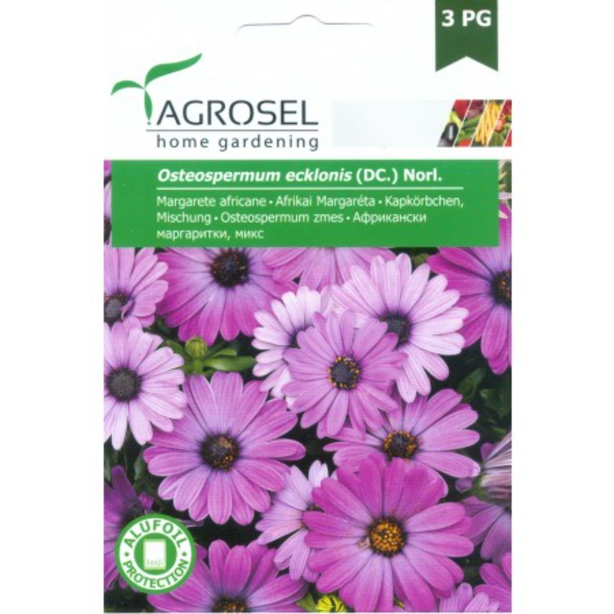 Seminte flori Margarete africane Agrosel 0.5 g, 1, hectarul.ro