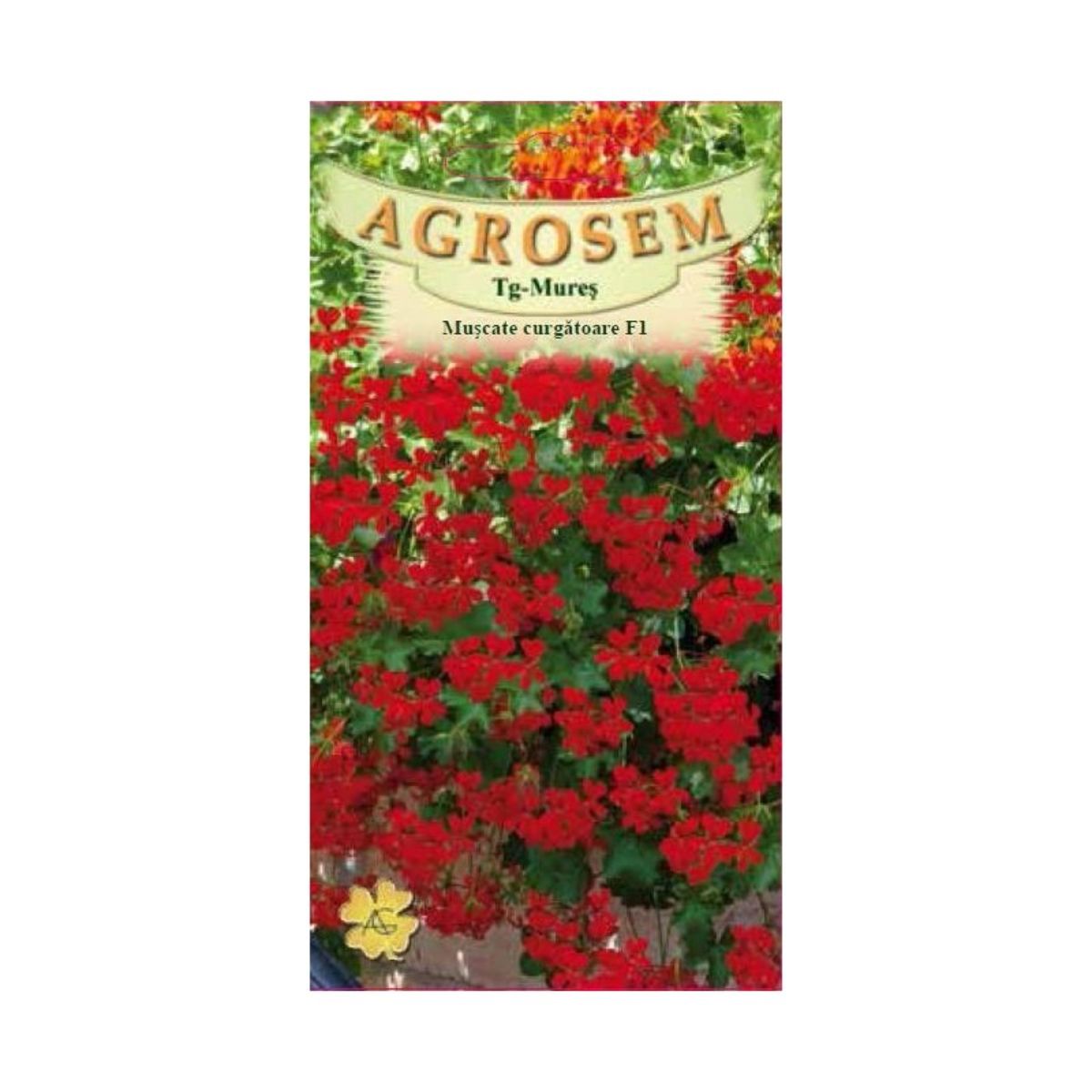 Seminte Flori Muscate curgatoare rosii F1 AGROSEM 3 sem, 1, hectarul.ro