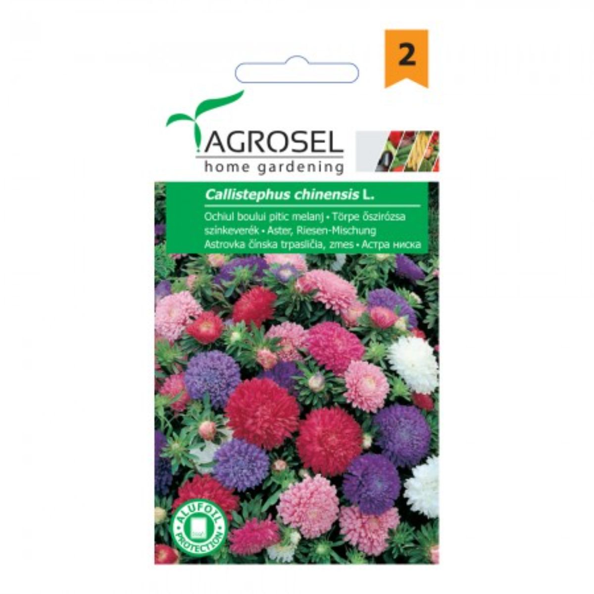 Seminte flori Ochiul boului pitic melanj Agrosel 1 g, 1, hectarul.ro