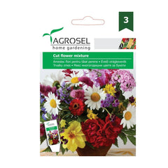Seminte flori perene pentru taiat, 4 grame, AGROSEL