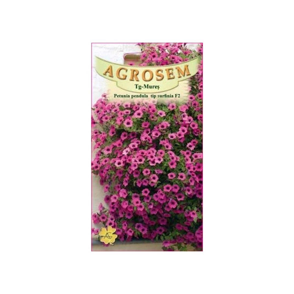 Seminte Flori Petunia H. Surfina Rubina F2 AGROSEM 0.01 g, 1, hectarul.ro
