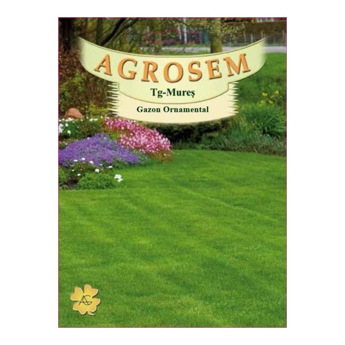 Seminte GazonORNAMENTAL AGROSEM 1 Kg, 1, hectarul.ro