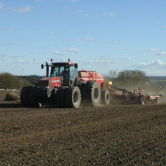 Seminte Lucerna BARENBRUG Green Spirit Nutrifibre 15 , kg 85% F.A. (Festuca arundinacea)+15% L.P. (Lolium perenne)