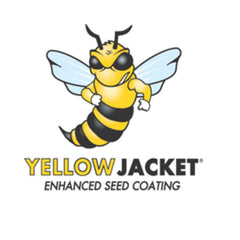 Seminte Lucerna BARENBRUG inoculata cu bacterii benefice tip Rhizobium, Alexis, 25 kg