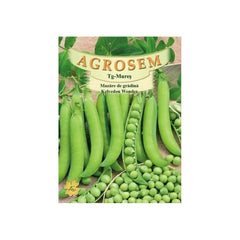 Seminte Mazare de gradina�  Kelvedon Wonder TRATAT AGROSEM 100 g