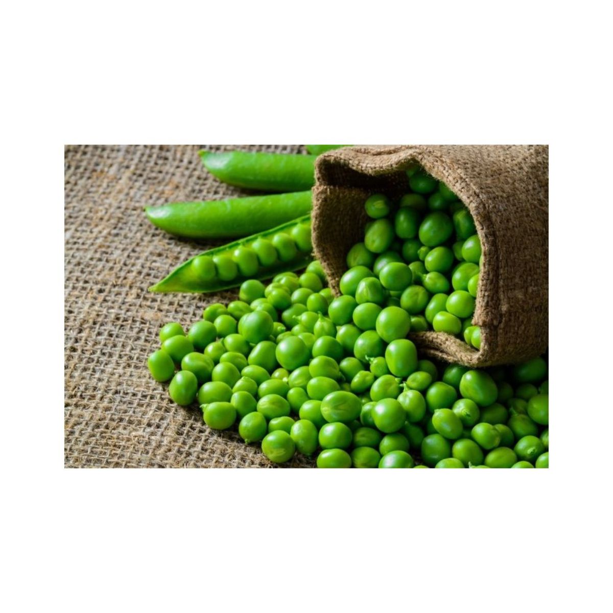 Seminte Mazare Muntenia Agrosel - 500g, 1, hectarul.ro