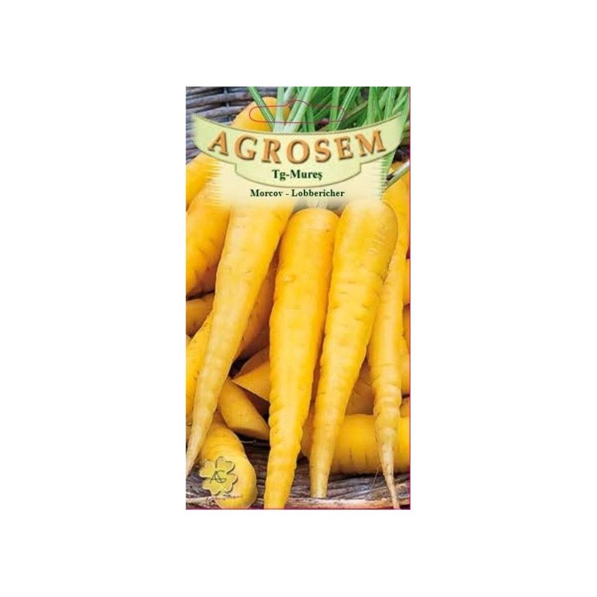 Seminte Morcov Lobbericher AGROSEM 15g, 1, hectarul.ro